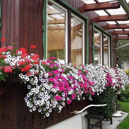 Dalija Apartment *
